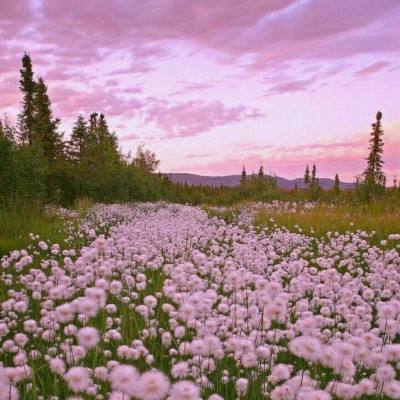 可以试玩cq9电子的网页game截图